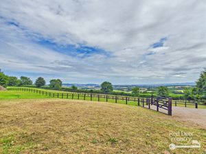 Paddocks- click for photo gallery